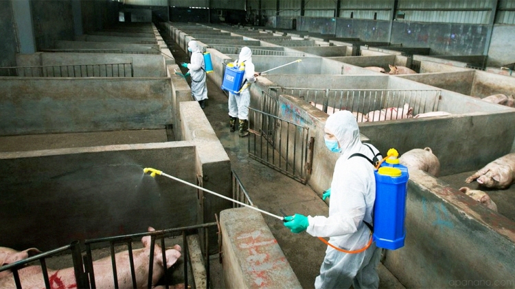 SLON PANG VIỂC PAO ỎN HẨƯ PHẤU TUA CÚA LIỆNG LĂNG XÁ PHÂN CẢI NẶM NOÒNG