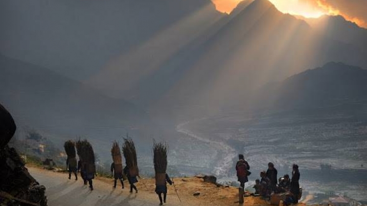 Phai paz nhây phiến