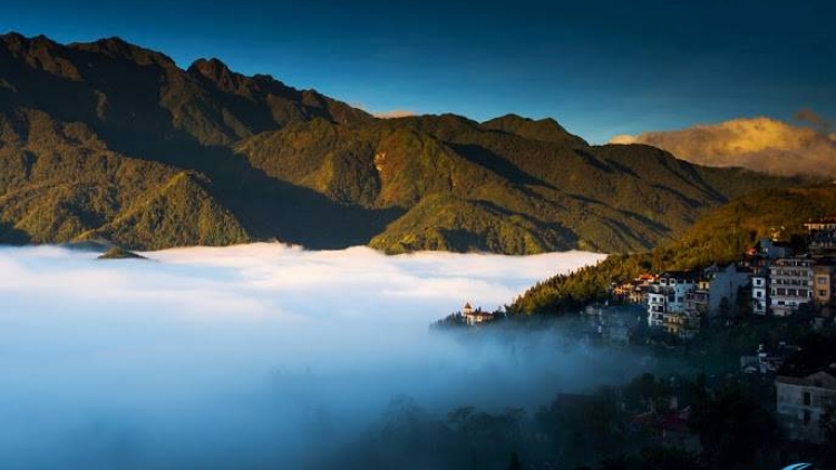 Phai paz nhây phiến