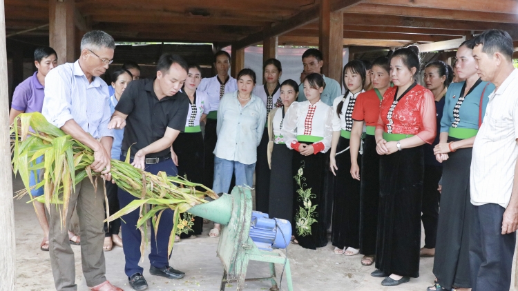 Chương trình phát thành quam Tay thứ 4 mự 8 căm bườn 10 pì 2025