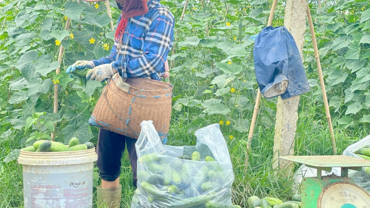 Chương trình phát thành quam Tay thứ 2 mự 6 căm bườn 10 pì 2025