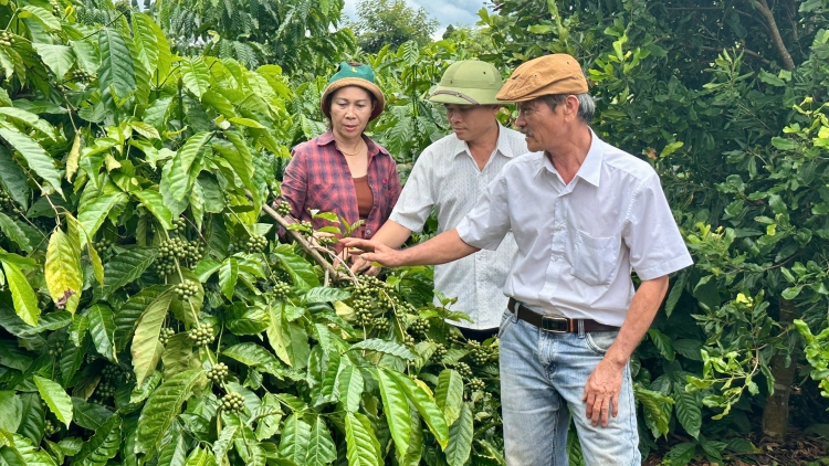 Iŏk yua đơ̆ng tơdrong jang pơtăm cheh phe “Lơ tơm ưh kơ đei kơsep tơmơ̆ng”