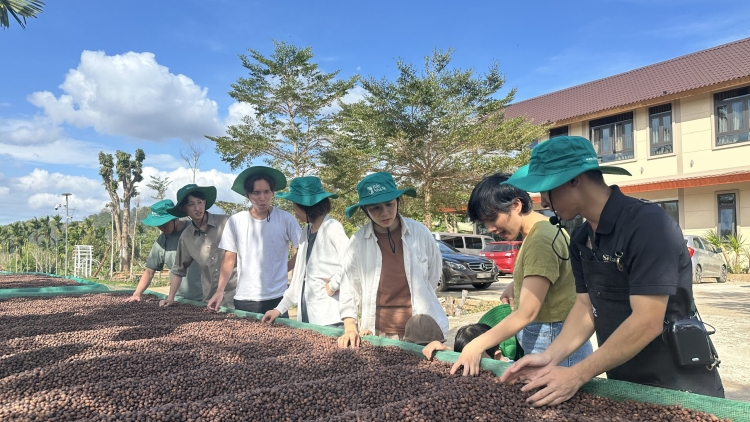 Kaphê Đăk Lăk – đơ̆ng găr hơpôm truh kơjă kăp gĭt lơ̆m apŭng plenh teh 