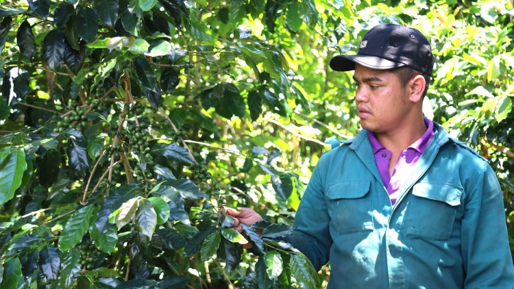 Kơphế kơpong kong hngíu ngiêt lĕm kơpong kong ngo kong pơlê Quảng Ngãi