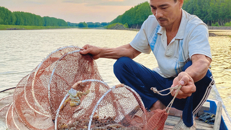 បណ្ដាទម្រង់ផលិតសម្របតាមធម្មជាតិនៅខេត្តកាម៉ាវពាំនាំមកប្រសិទ្ធភាពខ្ពស់។