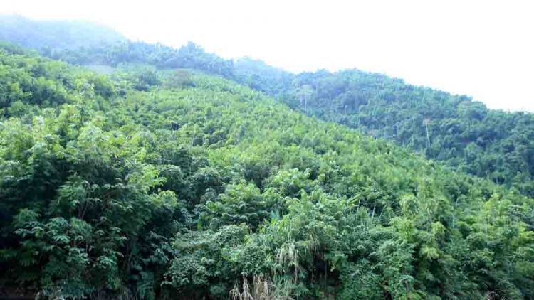 Ngon tô thứ 5 mự 6 căm bườn 11 pì 2025 – Pưng lang đì cựt đảy cuồng vịa mả khày kinh tế-xã hội bản mương 5 pì cài ma toi luông uồn pa khòng Đảng