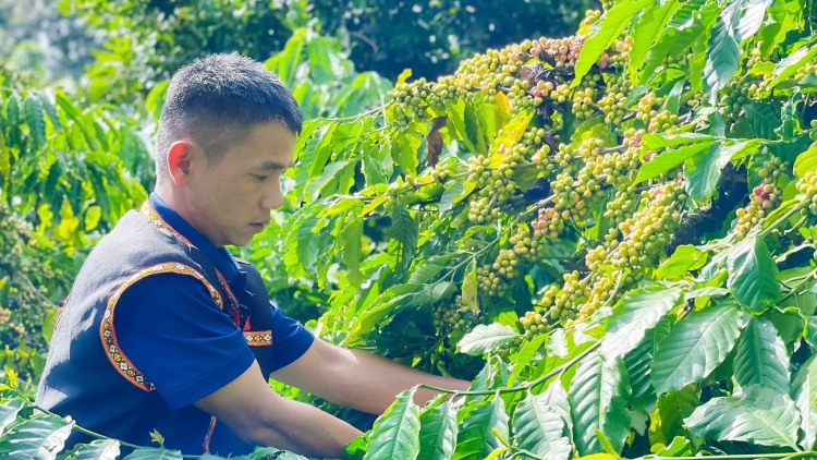 Bài ca Nông dân Việt Nam