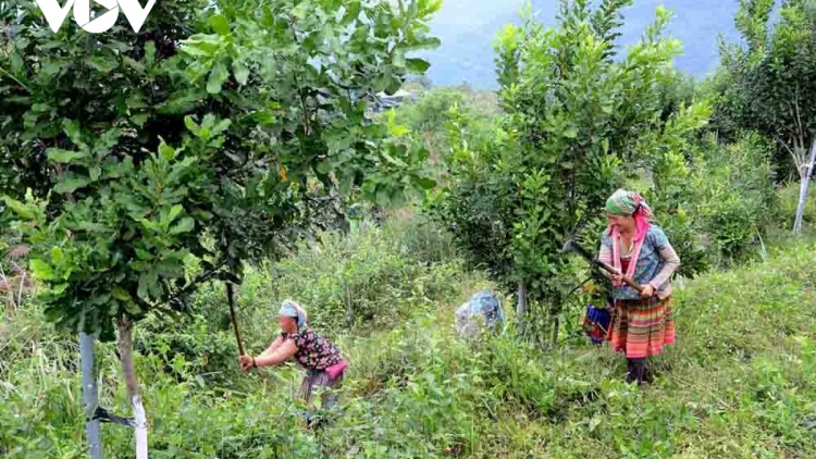 Ngon tô thứ 5 mự 23 căm bườn 10 pì 2025: Điện Biền cựt đảy lài lang đì cuồng vịa chấp năm pưng chính sách chựa nọi côn