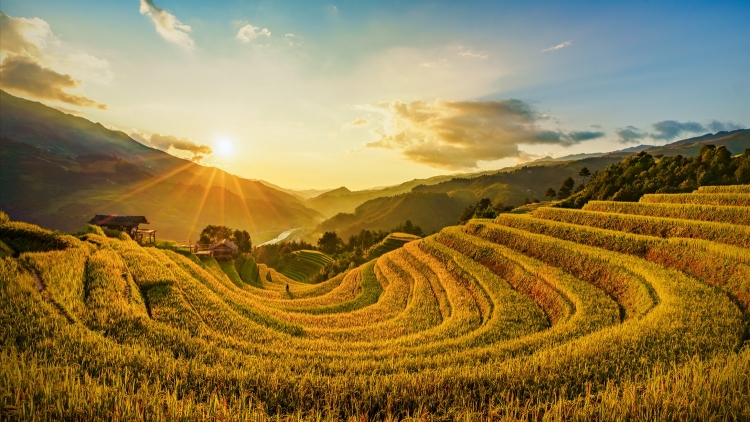 MÙ CANG CHẢI SLÌ NÀ PỀN TAN