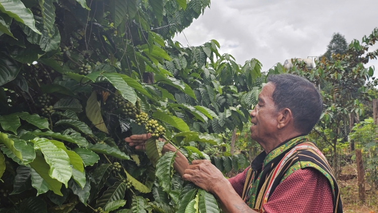 Rơ Châm Dik, mduôn ƀuôn êdah êdi ti knông lăn Gia Lai