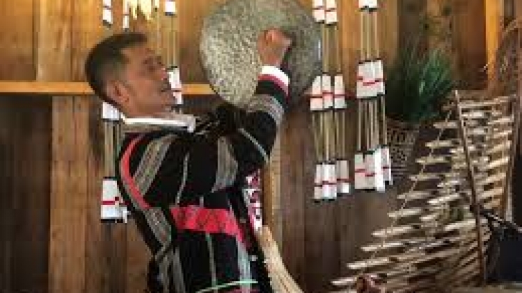 Rủ nhau đi hái rau rừng