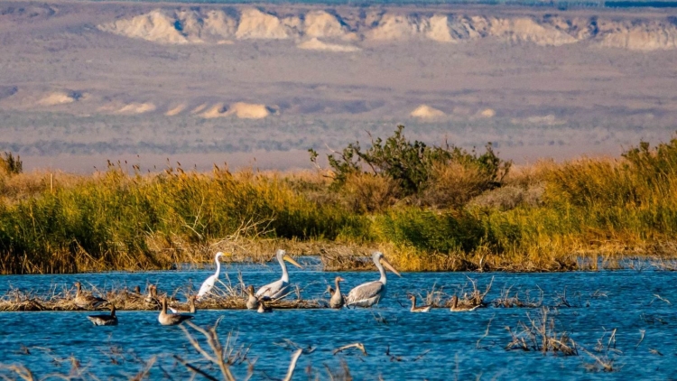 ពត៌មាន​ម៉ោង៦