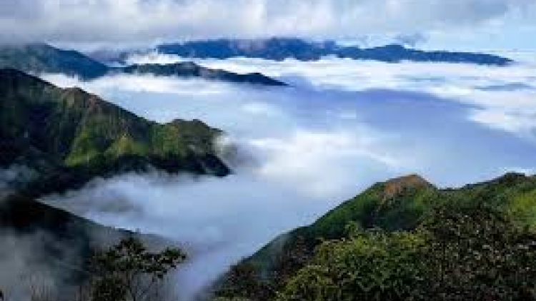 Danak dak sap Cam 17_10_2025