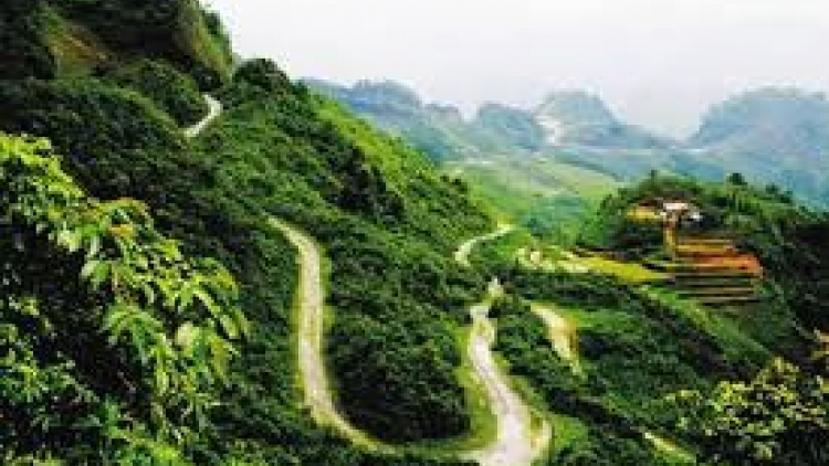 Danak dak sap Cam 20_10_2025