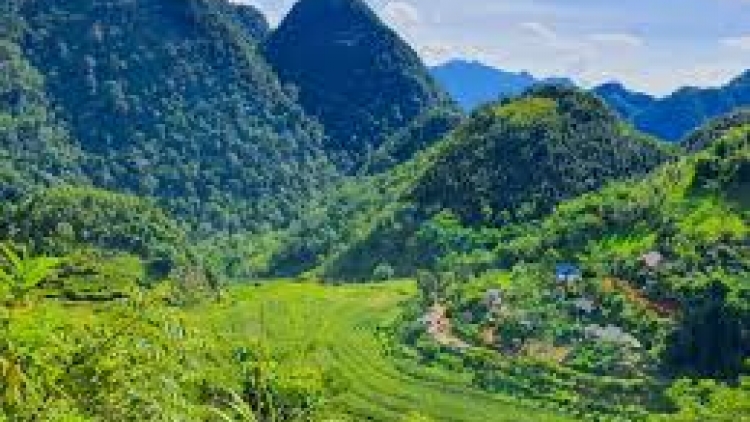 Bài ca Nông dân Việt Nam