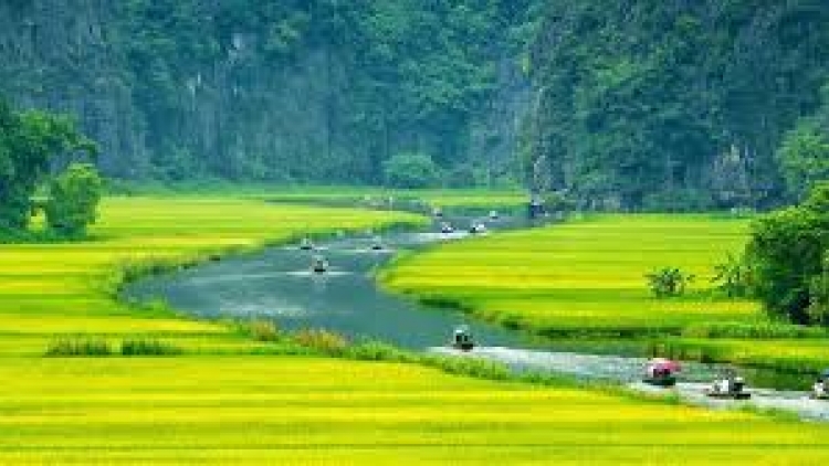  Ngon tô thứ 2 mự 6 căm bườn 10 pì 2025 – Bai thàm pả Tòng Thị Vinh dú bản Mong, phường Chiềng Cơi, Sơn La.