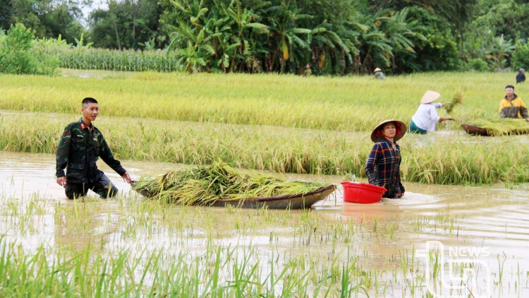 Búa tzấu cành tzuống gang hít tùi buỷng thuất lổ