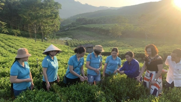 CLONG GHỀNH CHÈ- ĐHỊ LIÊM PR’HAY ÂNG  THÀNH PHỐ SÔNG CÔNG