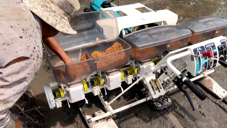 កសិករខ្មែរចូលចិត្តទម្រង់ស្រូវគុណភាពខ្ពស់និងបំភាយឧស្ម័នទាប។