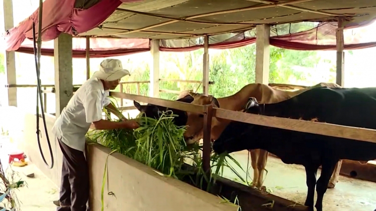 Làng bol kòn cau Khmer Vĩnh Long brồ guh bơh Broă lơh jơnau kờñ Dà lơgar 