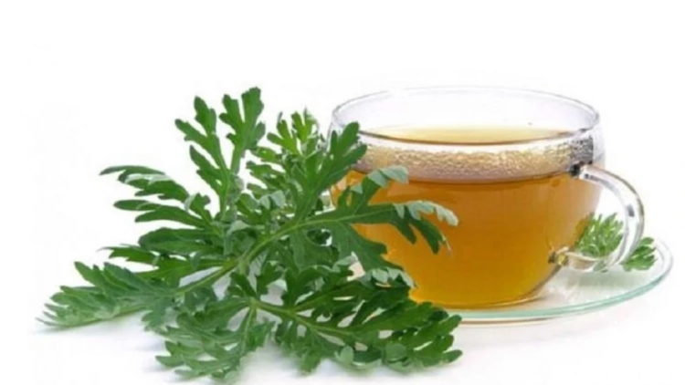 KỈ BÀI DA TỨ NẶM NHẢ NGẢI