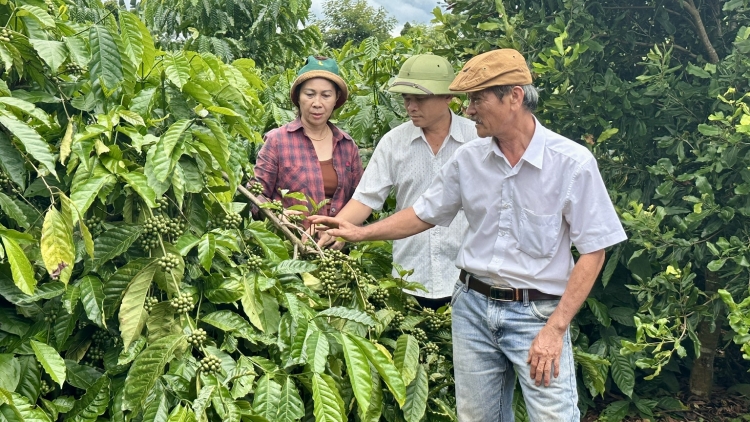 Mơhno lĕm ro 'na tơdroăng rêh ối - Hâi tơdrốu, lơ 11.10.2025