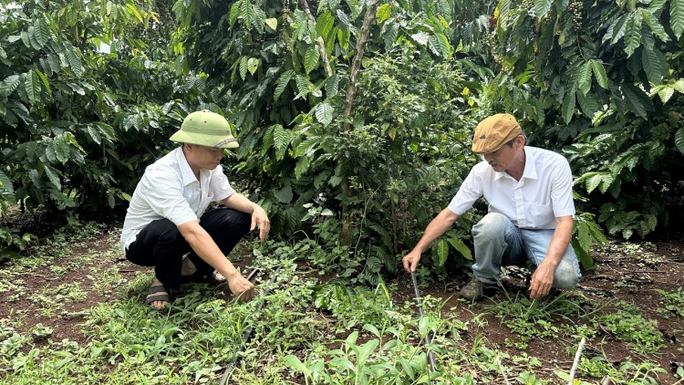 Tơlơi pơhing hrơi năm, lơ 11.10.2025