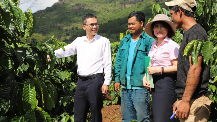 Liăn mung tŏng gum, “ivá mơnhông” hluăn ing kơtiê dêi kuăn pơlê Gia Lai