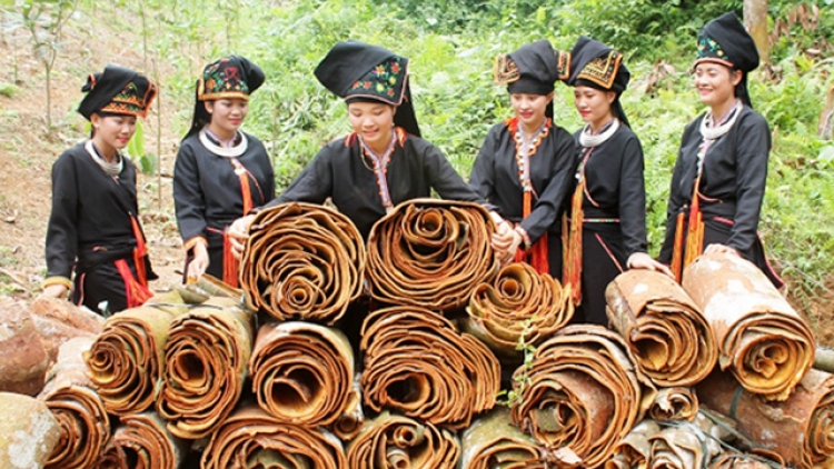 Coiz thiuz seng ziêm trùng quýa hữu cơ