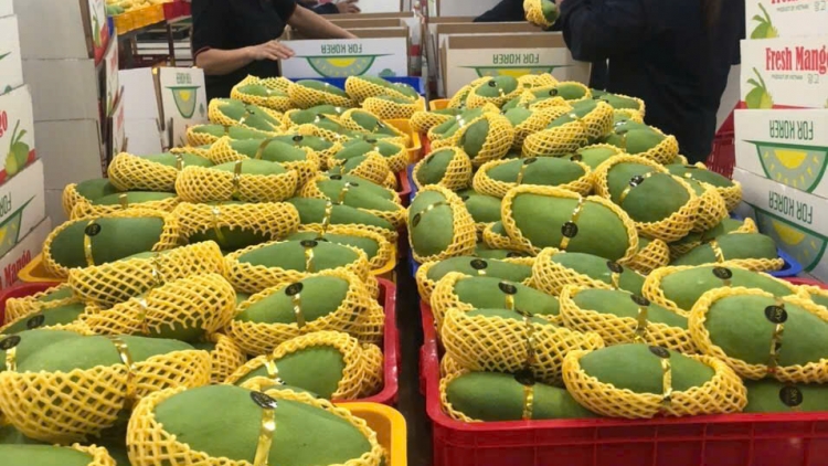 ពត៌មាន ម៉ោង ១៥