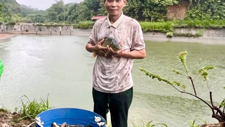 Làn cành tzuống miền phính ừu miền úi biéo tzấu pút tzòi