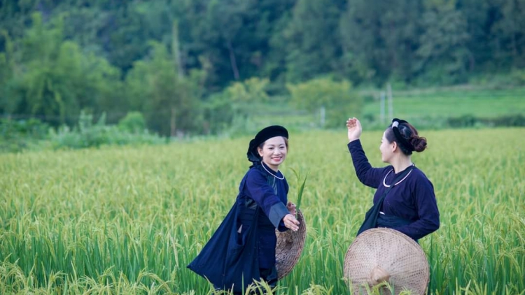 CHƯƠNG TRÌNH KHAY HENG TÀY- NÙNG (Thứ 7, vằn 22/11/2025)