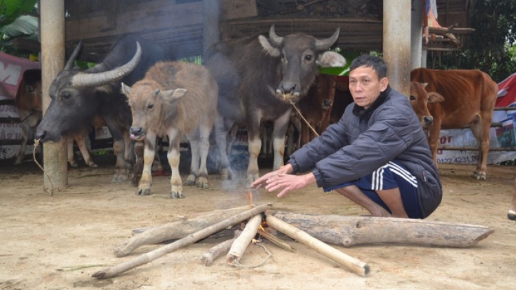  Ngon tô thứ 6 mự 7 căm bườn 11 pì 2025 – Tủm pua pặc hanh hẳư tồ tảnh liệng chơ phạ nào cưm