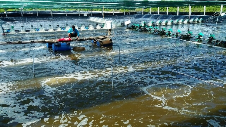  ក្រុមហ៊ុនឲ្យកម្រៃ៥០% កសិករស្នើរដ្ឋអំណាចគ្រប់គ្រងតម្លៃសម្ភារកសិកម្ម។