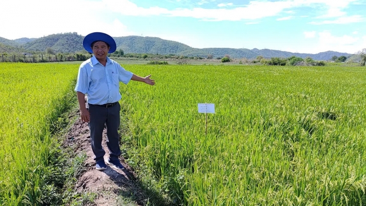 PAMBAK PRAONG PREIN KHANG GUL JUM PATAOM DI LABIK DAOK BHUM URANG K’HO, RAGLAI XA PHAN SƠN 