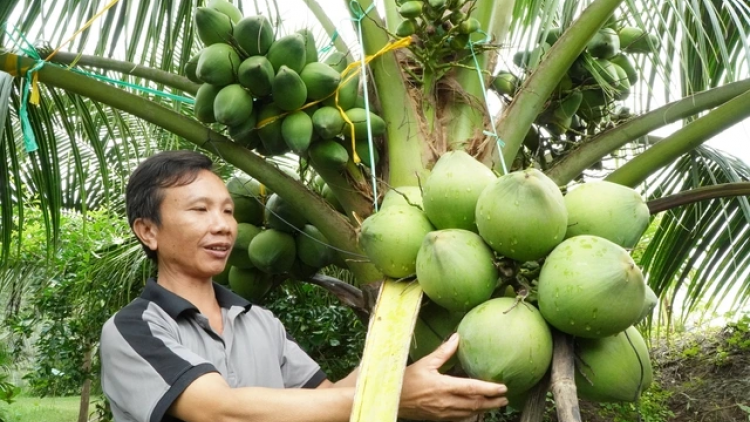 URANG NGAK NONG GAH PEI NEGAR PALA PHUN LI-U BIAR TABIAK RILO BAOH