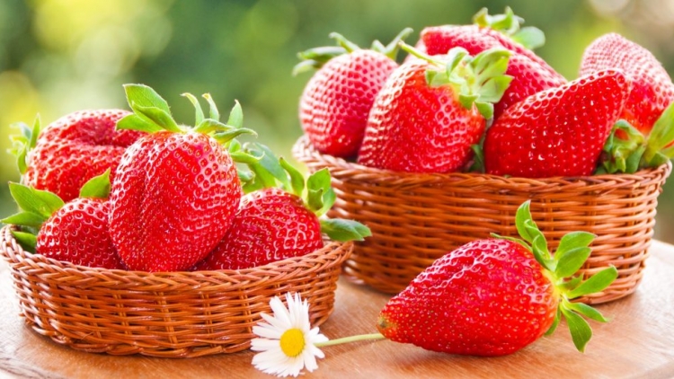 Tsaz yênhx nta suôz luk Hmôngz hnuz 28-11-2025