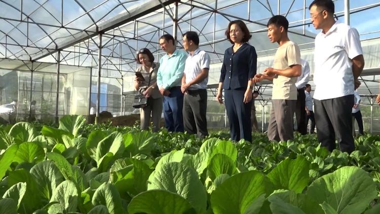 Chương trình phát thanh quam Tay, thứ 2 mự 10 căm bườn 11 pì 2025