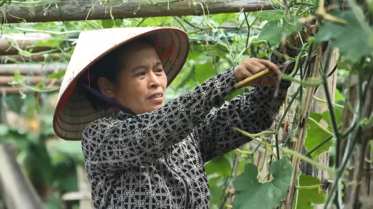 Chương trình phát thành quam Tay thứ 5 mự 6 căm bườn 11 pì 2025	