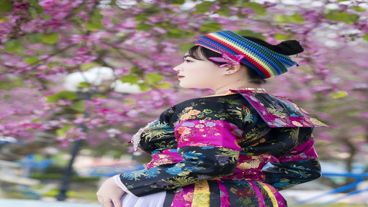 Cêr lov jêv kaz ciêz 09-11-2025