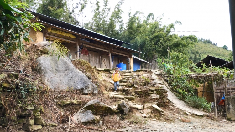 Tsaz yênhx nta suôz luk Hmôngz hnuz 19-11-2025