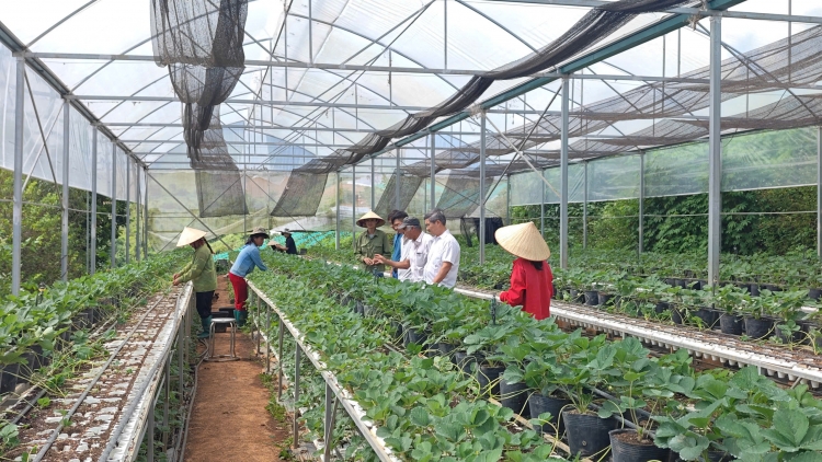 Chường trình phát thanh thứ 6 mự 28 căm bườn 11 pì 2025