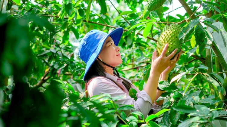 កសិកម្មធម្មជាតិ គឺជារបៀបដែលមនុស្សកំពុងការពារ និងគោរពតាមក្រឹត្យក្រមធម្មជាតិ។