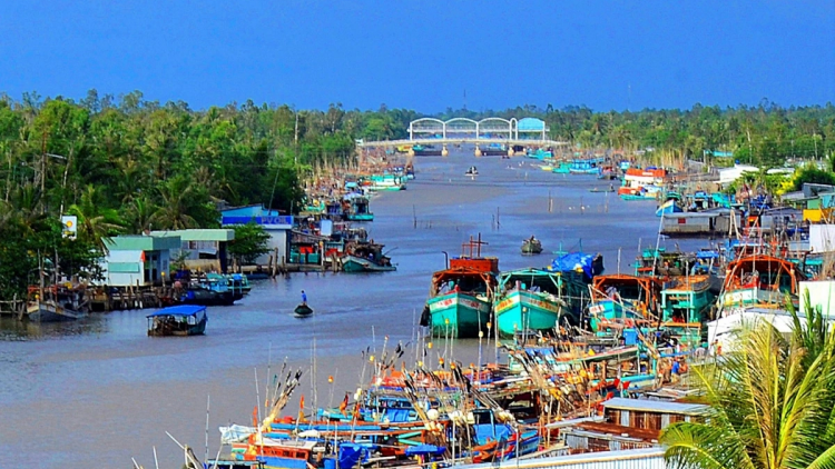 CA MAU: PATAGOK BRUK LEK TAKA GILAI IKAN PIAH SAHANG PASANG IEK SIAM LAGAIH JANG