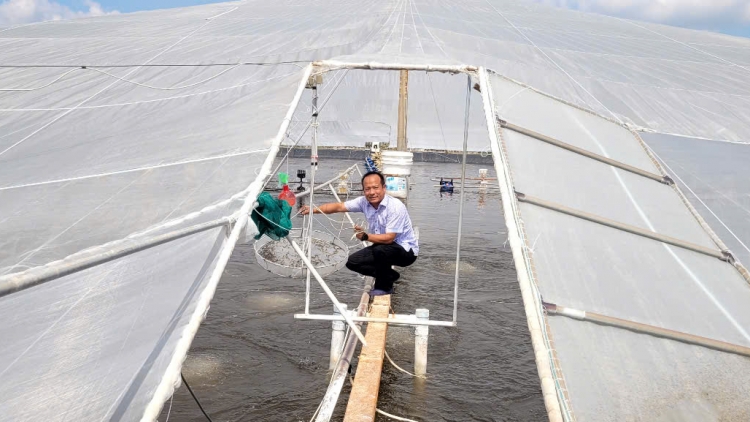 រសជាតិរបស់សមុទ្រនៅរដូវខ្យល់បក់ពីទិសខាងជើង។