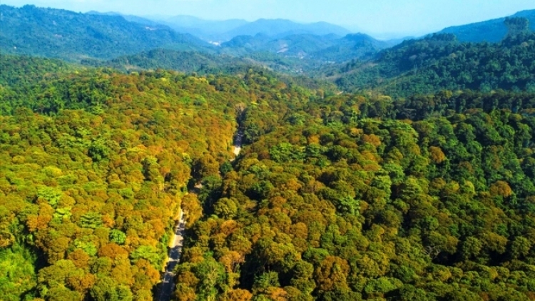 Lầy tzình cunz xiêuz kếu phát hiáng kềm