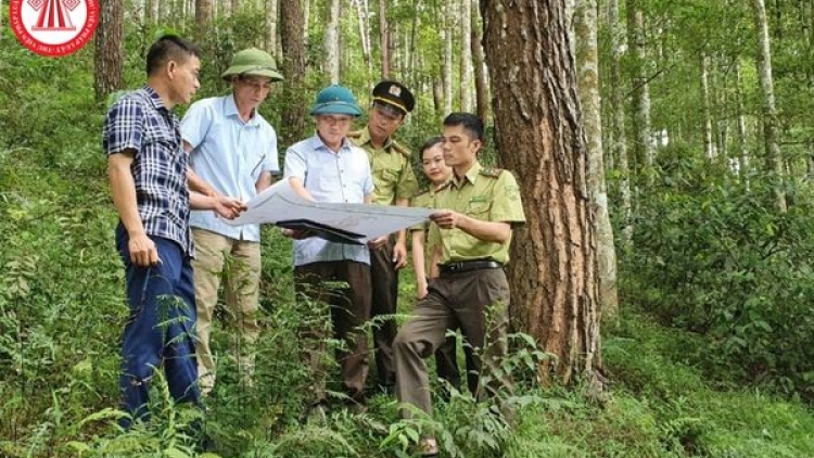 Lầy tzình cunz xiêuz khzáo xiêuz mảng kềm