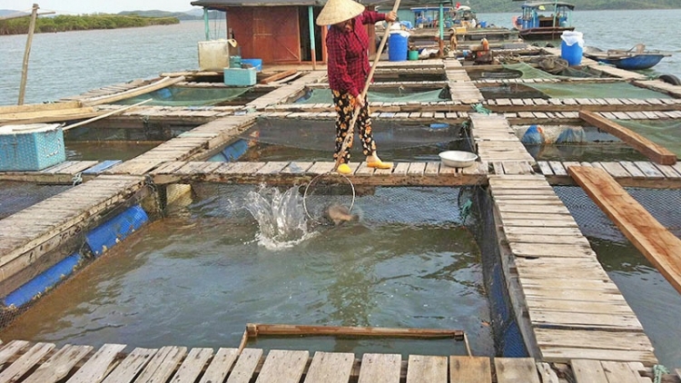 Ngon tô thứ 6 mự 7 căm bườn 11 pì 2025 – Chự phong bệnh hẳư tồ pà cuồng dan phạ đìn nhại mua