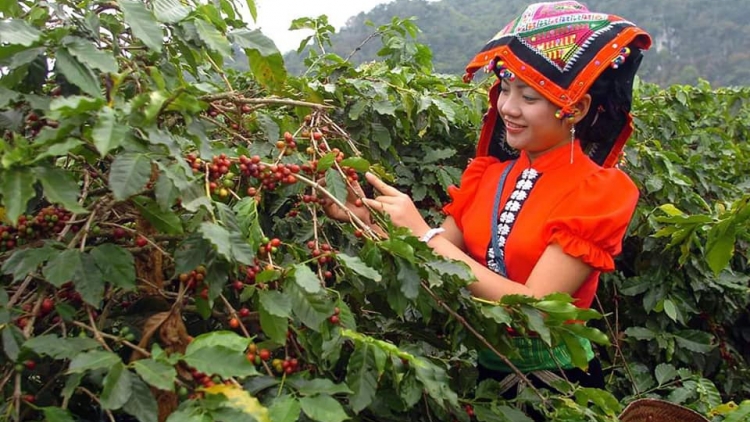 Ngon tô thứ 3 mự 18 căm bườn 11 pì 2025 – Cò dệt hăng nẳng đìn pu Sờn Là