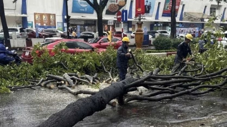 Phŭt mbrô  13 ƀư khuch khat âk mpeh drăp ndơ n’hanh kon nuĭh ta Nam Trung bộ n’hanh Tây Nguyên.